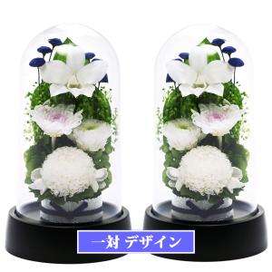 ハローキティ バースデーKitty 2月 (アメジスト) : パーティワールド