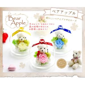 記念日 プリザーブドフラワー 四つ葉のクローバ...の詳細画像1
