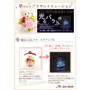 記念日 プリザーブドフラワー 四つ葉のクローバ...の詳細画像2