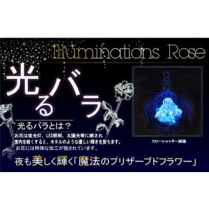 記念日 プリザーブドフラワー 四つ葉のクローバ...の詳細画像1