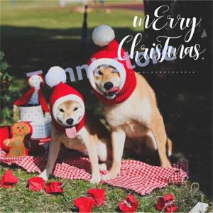 クリスマス 飾り クリスマスツリー 犬猫用コスプレ ペット サンタクロース 猫 犬 ペット服 被り物 ペット帽子 ニット帽子 クリスマス 赤 秋｜aa-store