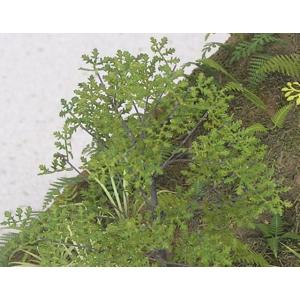 和巧 A-5-48 紙創り ジオラマアクセサリー オーク 1/48 無着色 ペーパークラフト