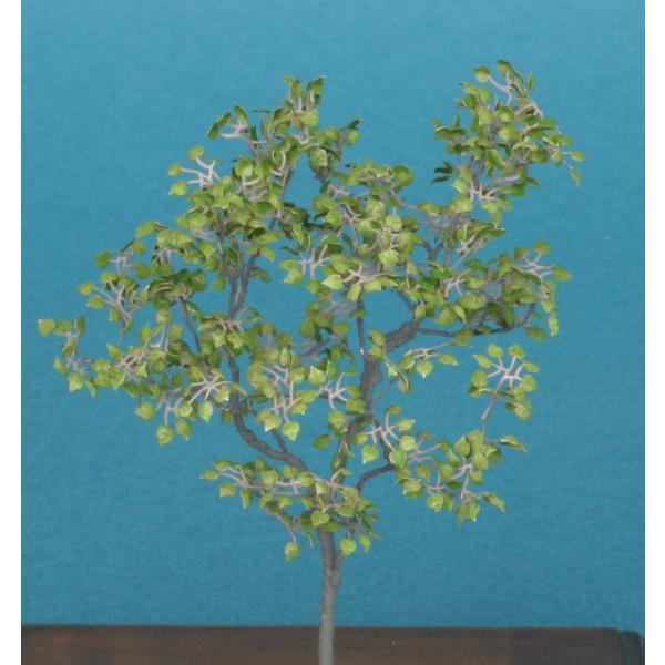 和巧 A-8-35 紙創り ジオラマアクセサリー リンデン 1/35 無着色 ペーパークラフト