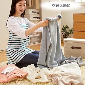 住まいの湿気とり 衣類の守り 20個組 トップラボの詳細画像3