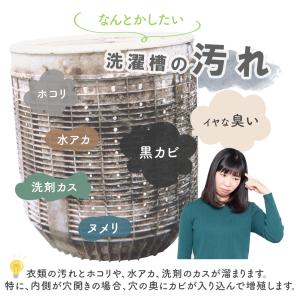 らくらく 洗濯槽 まるごと泡スプレー トップラ...の詳細画像2