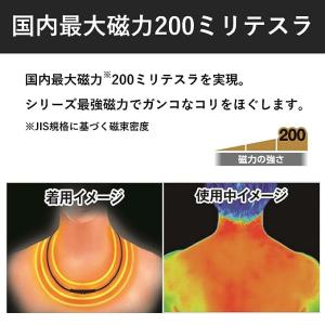 ピップマグネループMAX メタルシルバー 45...の詳細画像2