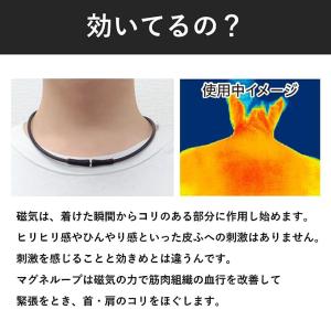 ピップマグネループMAX メタルシルバー 45...の詳細画像4