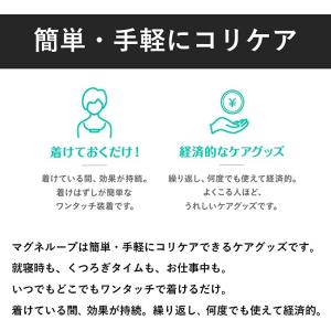 ピップマグネループMAX メタルシルバー 45...の詳細画像5