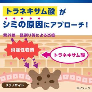 小林製薬 メンズケシミンクリーム 20g ポス...の詳細画像4