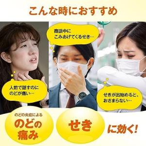 「第2類医薬品」大正製薬 ヴィックス メディカ...の詳細画像2