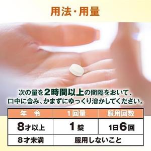 「第2類医薬品」大正製薬 ヴィックス メディカ...の詳細画像3