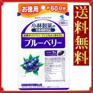 小林製薬の栄養補助食品 ブルーベリー お徳用 約60日分 60粒 - 最安値