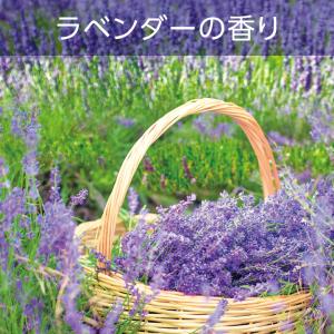 エステー消臭力 お部屋の消臭力 ラベンダー 玄...の詳細画像2