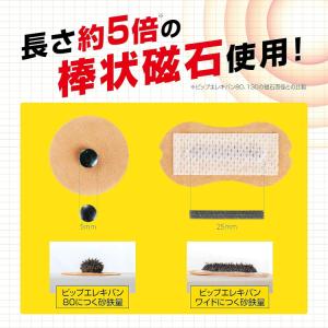 ピップエレキバンワイド 6枚の詳細画像2