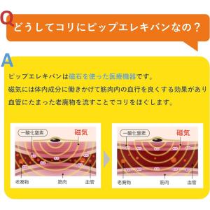 ピップエレキバンワイド 6枚の詳細画像4