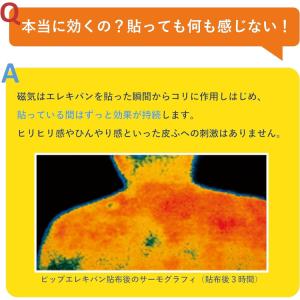 ピップエレキバンワイド 6枚の詳細画像5