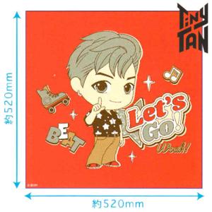 在庫限り！】TinyTAN ランチクロス Jin柄 タイニータン ジン柄