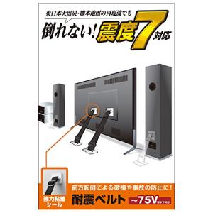 エレコム 耐震ベルト テレビ用 75インチまで対応 強力粘着シールタイプ 2本入 TS-002N2｜AALSOC