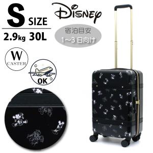 ディズニー スーツケース Sサイズ 機内持ち込み ミッキー ミニー シフレ DNY2246-48の商品画像