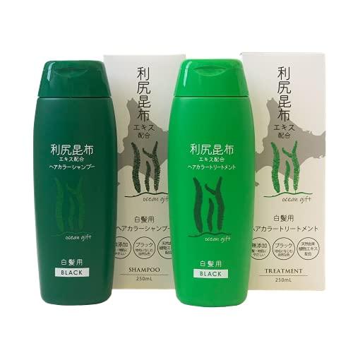 日本メディコ 利尻昆布ヘアカラーシャンプー・トリートメントセット250ｍL×2本(ブラック)