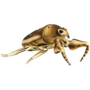 BH8523 HANSA タガメ 42 - 最安値・価格比較 - Yahoo!ショッピング