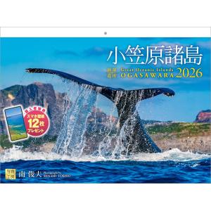 写真工房カレンダー | 小笠原諸島 2026 カレンダー 壁掛け 風景 【紙ホルダー付 300×400】 スマホ壁紙12枚付の商品画像
