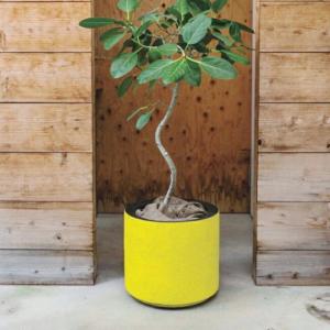 植木鉢 おしゃれ 軽い ドゥーパーS 33cm 11号 FRP 黄 青 プラスチック プランター 鉢 室内 屋外 鉢植え 観葉植物 大型 塊根植物 北欧