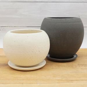 日限定21 PTMD Cord brown cement pot and saucer 植木鉢 おしゃれ