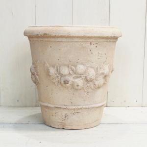 【現品】バオバブ・ディギタータ　3.5号　茶鉢　（9） 現品】バオバブ・ディギタータ 3.5号 茶鉢（7） : 花のアリマツ