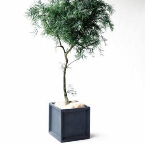 KONTON 植木鉢 おしゃれ 大型 四角 プランター 鉢カバー コンカー