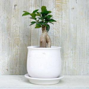 プランター FR円錐ロングホワイトストーン S 直径36×高さ50cm