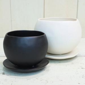 観葉植物 陶器鉢 穴なしの商品一覧 通販 - Yahoo!ショッピング
