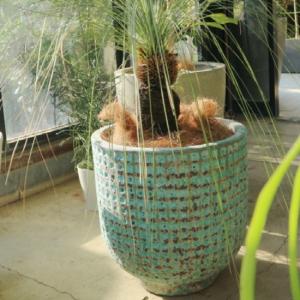 陶器鉢3点セット 新品未使用品 塊根植物 植木鉢 おしゃれ アンティーク 陶器鉢 LT003M 45cm 15号 ブルー 底穴