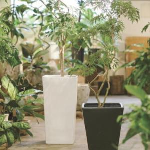 ローラアシュレイ オフィシャル植木鉢 ローラロンサール (Sサイズ:丸型