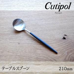 Cutipol（クチポール） 【1kgまでメール便OK】 ゴア GOA ブラック