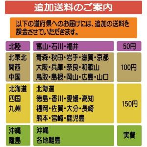 【送料無料 南東北〜東海限定】伊藤園 1日分の...の詳細画像2