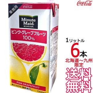 コカコーラ ミニッツメイド アップル 100% 1L ×6パック 1ケース 送料