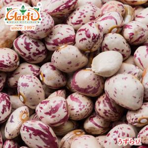 うずら豆　1kg　常温便　Pint Beans Rajma Chitkabra ピント豆