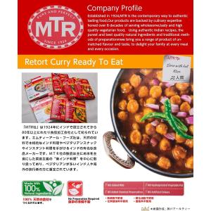 MTR ミックスベジタブルカレー 300g 1...の詳細画像4