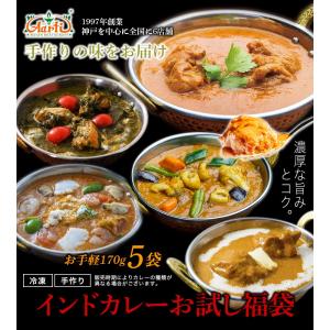 カレーお試し福袋 本格インドカレー170gx5...の詳細画像1