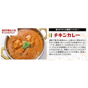 カレーお試し福袋 本格インドカレー170gx5...の詳細画像2
