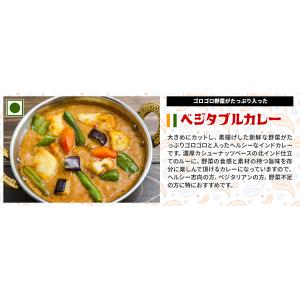 カレーお試し福袋 本格インドカレー170gx5...の詳細画像3