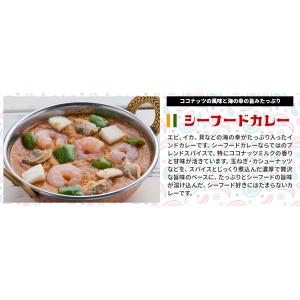カレーお試し福袋 本格インドカレー170gx5...の詳細画像5
