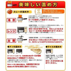 初回限定インドカレー お試しセット (4品) ...の詳細画像3
