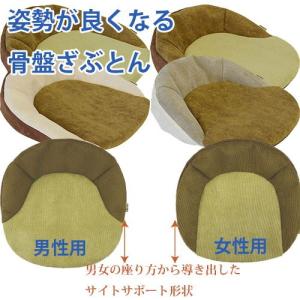 姿勢が良くなる骨盤座布団 座るだけで骨盤 仙骨 を支え 美しい姿勢を