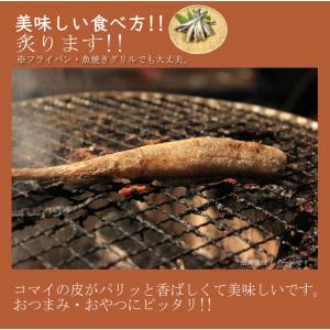 生干しこまい 500g/※サイズ大きさについて...の詳細画像5