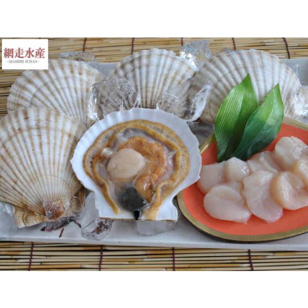 活ほたて貝 12〜15枚入【配達日指定不可/同梱不可/各月上旬・中旬・下旬頃発送】/産地直送/送料込...