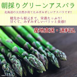 朝採りグリーンアスパラ 1kg /産地直送 /送料込【配達日指定不可/発送は6月上旬以降から・配達日指定不可】プレゼント 贈答用 爆買 F621