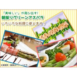 朝採りグリーンアスパラ 1kg /産地直送 /...の詳細画像1