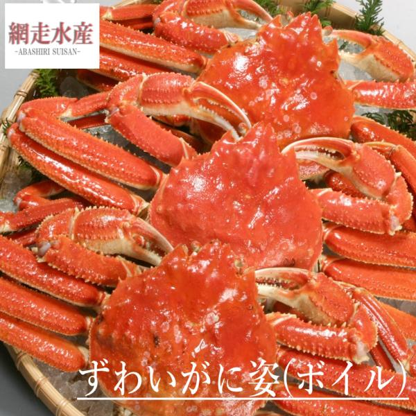 ずわいがに姿(３尾・1.5kg・ボイル冷凍・ズワイ蟹) ボリューム満点 お祝い 誕生日 ギフト 贈答...